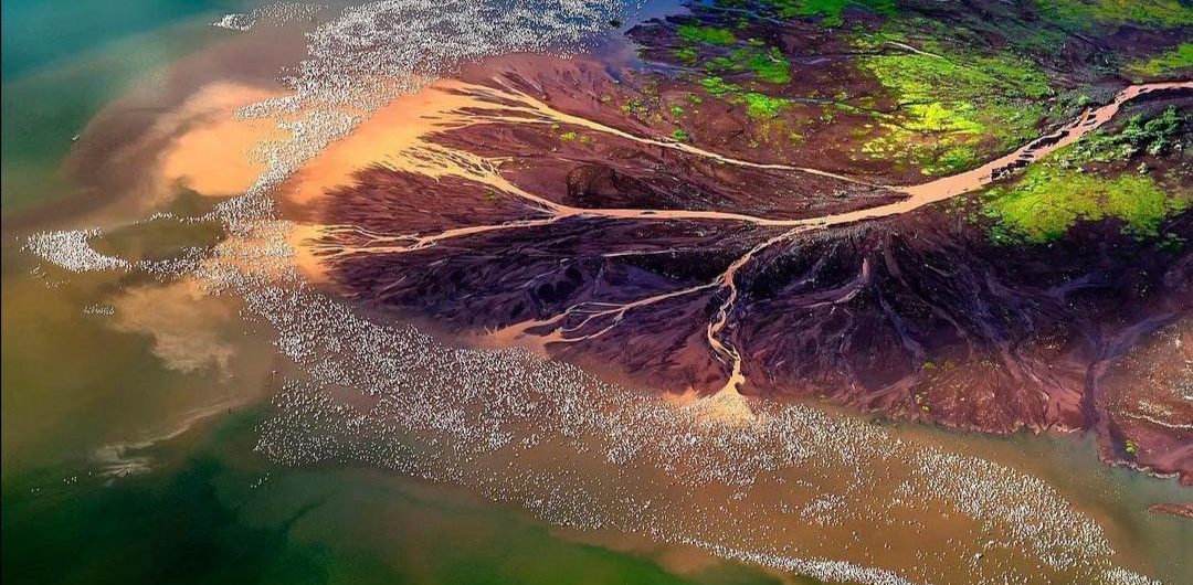 Lake Bogoria National Reserve