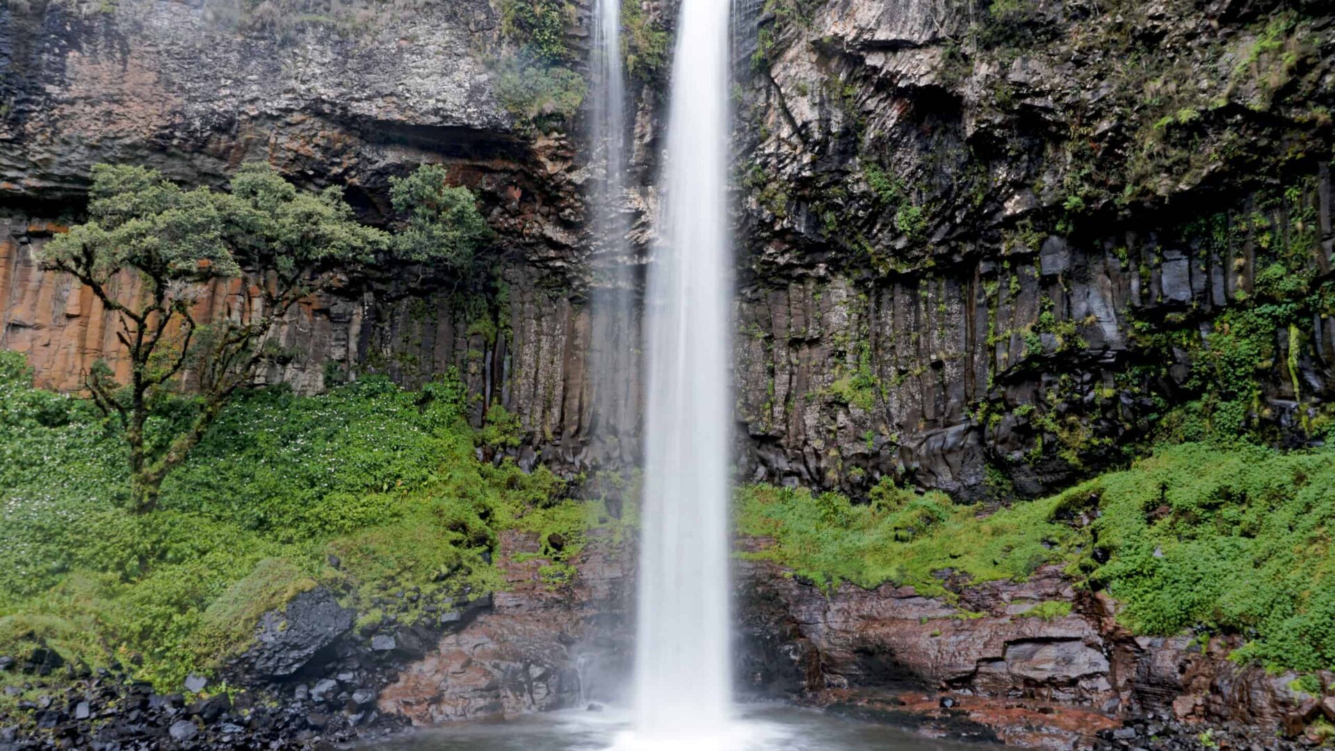 aberdare national park