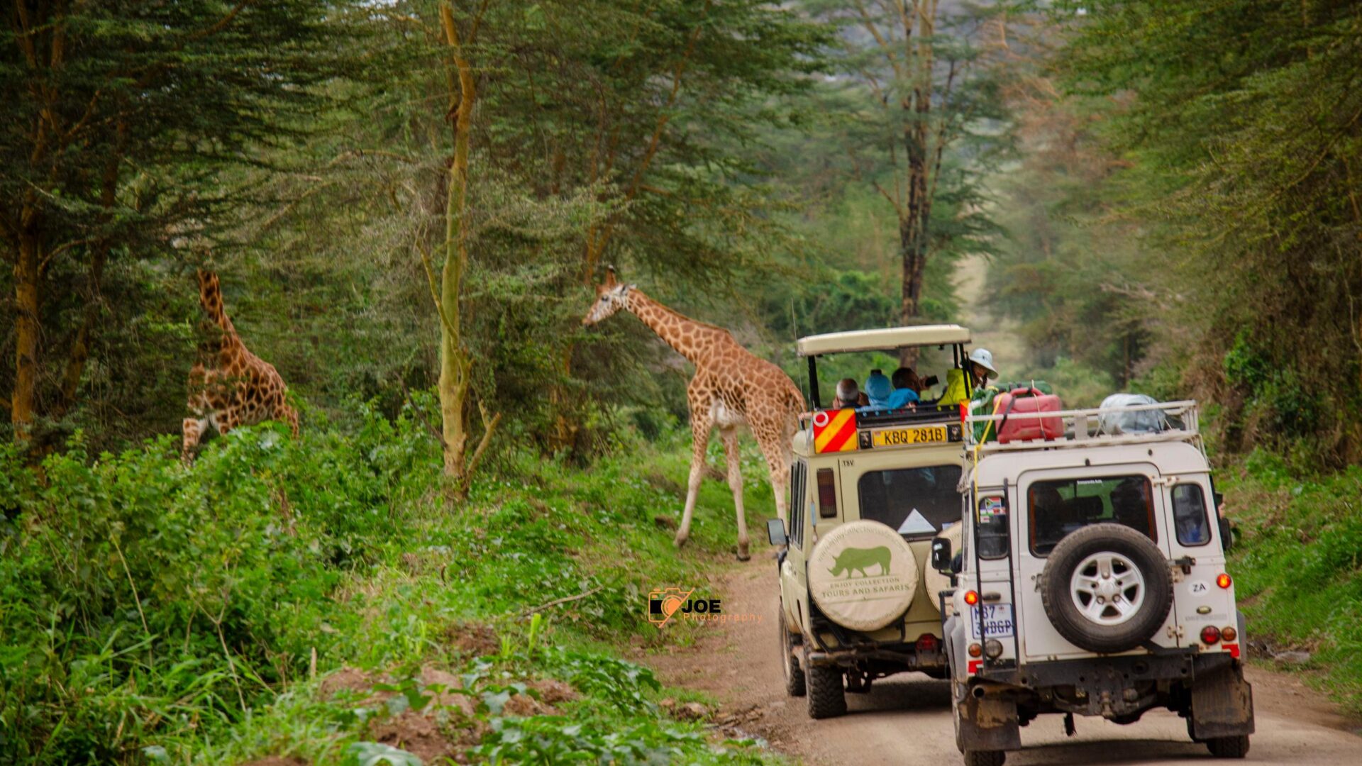 Private Wildlife Photography Safaris in Kenya