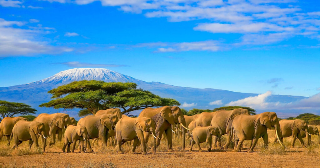 kenya travel guide